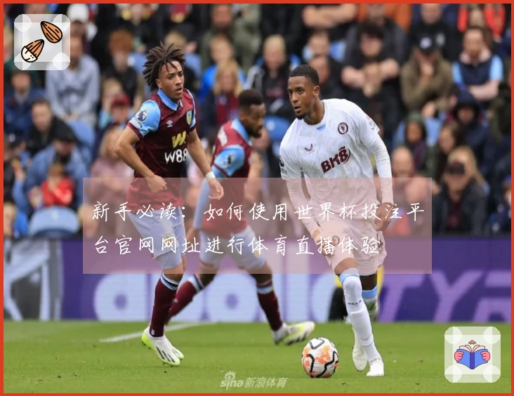 新手必读：如何使用世界杯投注平台官网网址进行体育直播体验