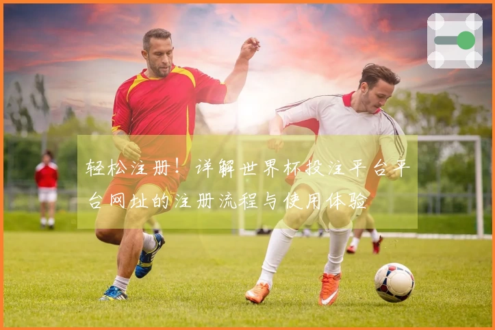 轻松注册！详解世界杯投注平台平台网址的注册流程与使用体验