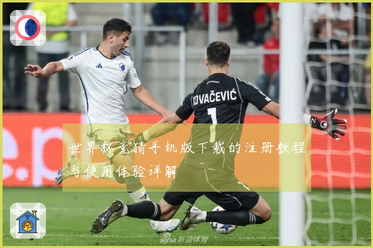 世界杯竞猜手机版下载的注册教程与使用体验详解